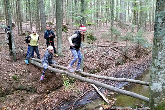 Toben im Wald